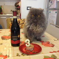 buon compleanno