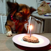 Mia - compleanno