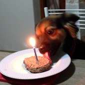 Mia  compleanno