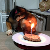 Mia compleanno